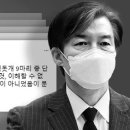 文 ‘풍산개’로 소환된 ‘조만대장경’이 구설에 오른 까닭은? 이미지