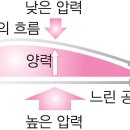 차사랑 1004 이미지