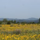 대산문화체육공원(파크골프장) 이미지