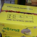 통통과일 - 음성군 오태로 126 | 통통과일