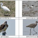 중선포천 이미지