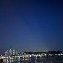 바이슈기 이미지
