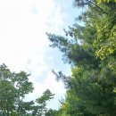 뉴훼미리공인중개사사무소 이미지