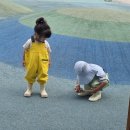 백미리 어촌체험마을 아기랑 갯벌체험 수도권에서 가까운 갯벌체험장