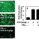 봄뜰부부한의원 이미지