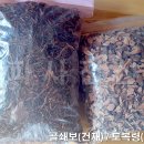 자연산 골쇄보(건재) / 토복령(건재) 탕제용 판매 합니다.