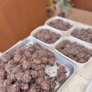백일경로당 네이버블로그