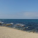 바다로 가는 길목 이미지