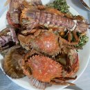 코끼리식당 - 상주시 중앙로 248-4 | 거제도 성포회식당 - 왕우럭조개, 코끼리조개 내돈내산 리얼후기