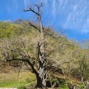 금산-08 | 금산, 진악산(眞樂山) 보석사(寶石寺)에 가다.