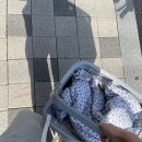 체인지빨래방 이미지