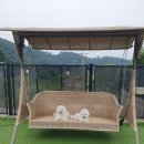 몽이네쉼터 | 가성비 최고 서울에서 가까운 <양평 몽이네> 펜션