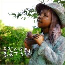 양평 가볼만한곳 -양평 들꽃수목원 7월 풍경