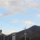 이원로 | [용인] 경기 대형카페 크리스마스 분위기 데이트 하기 좋은 브런치 맛집, 묵리459 방문 후기