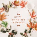 군것질 넋두리 천도사 (420) 『仙景, 화양동 #4』