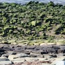 갈맷길(4-3구간) 이미지