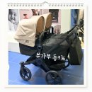 6 | 쌍둥이 유모차 부가부 동키6 실물 후기