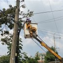 수원-1306 이미지