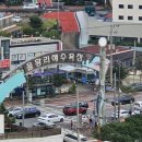 강남회 - 서구 | 강남회