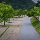 나조스트캠프 이미지