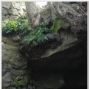 그린루체 이미지