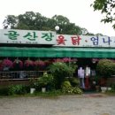 시골옻닭 이미지