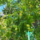 성락유치원 이미지