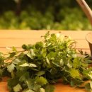 미백세탁소 이미지