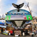 죽도시장 이미지