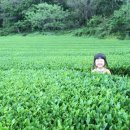 한수풀의원 이미지