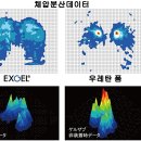 ＜GB＞ 겔자브 R 신형 ( GEL-ZAB R ) // 허리 골반 아프신 분 적극 추천 // 간편하게 장착 // 실용성 이미지