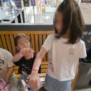 구미 홈플러스 바운스 방문 후기 아이와 부모 모두를 위한 날씨 상관없는 완벽한 실내 놀이터