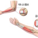 경희살림한의원 이미지