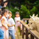 동산농장(1) 이미지