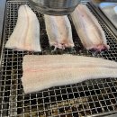 장어의 꿈 이미지