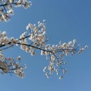 (주) 수원오토컬렉션