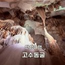 2026.8.22일 단양 고수동굴여행 이미지