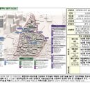 보름달에 꽃비 내리는 정다운 골목 스토리 | 대구시, 2020년 도시재생 뉴딜 공모 2곳 선정