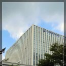 개인(최유경) 이미지