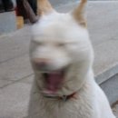 무라카 이미지