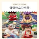 김연주 | 봄학기 문화센터 후기|랄랄라오감샘물(김연주 선생님)