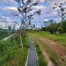 돌탑공원(팔룡근린공원) 이미지