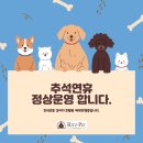 리츠펫강남세곡점