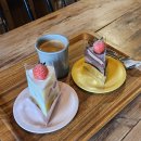 충청남도 산림박물관 | 아이들과 공주·부여 여행기 ② 박물관부터 제민천까지