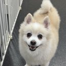 멍스가든 이미지