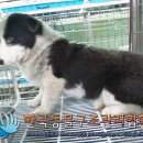 청신로 이미지
