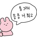 제니카야 이미지