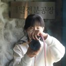 제주전분(주) 이미지