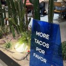 멕시칸 | 판교현백 맛집 이터스 멕시칸 후기, 화이타플래터 &amp; 치미창가 메뉴 추천