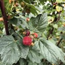 천시원교육농장 이미지